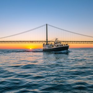sunset cruise_1